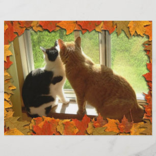 Herbstorange Tabby-Katzen Flyer