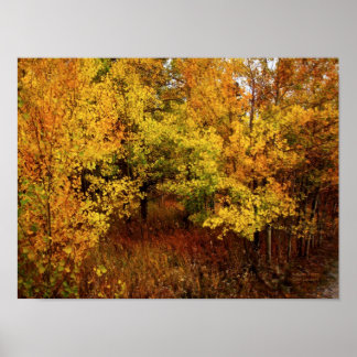 Herbstpalette Poster/Print Poster
