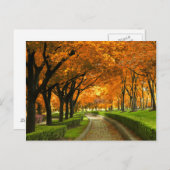 Herbstpark Postkarte (Vorne/Hinten)