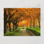 Herbstpark Postkarte (Vorderseite)
