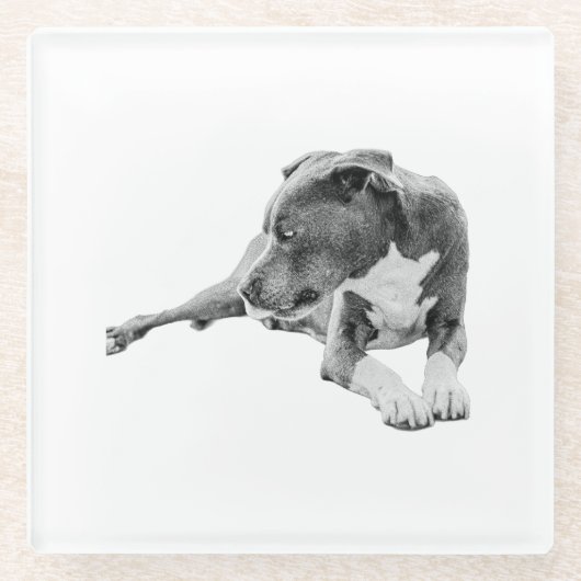 Herbstpause Glasuntersetzer (Vorderseite)