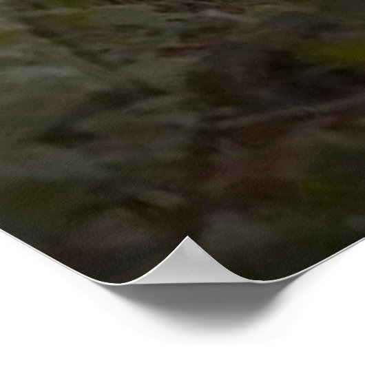 Herbstpfade Poster (Ecke)