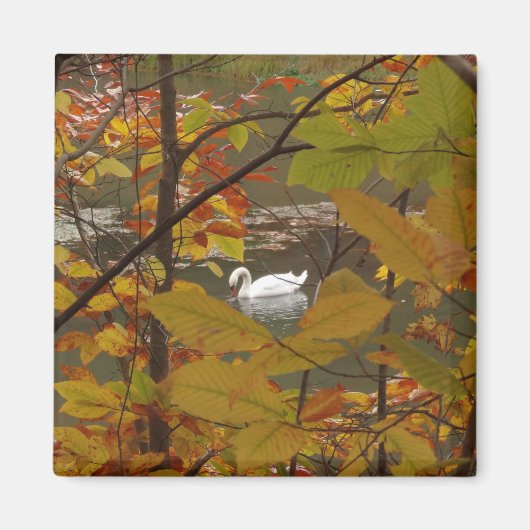 Herbstpfeifen mit Swan Magnet (Vorne)