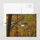 Herbstpfeifen mit Swan Postkarte (Vorne/Hinten)