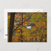 Herbstpfeifen mit Swan Postkarte (Vorne/Hinten)