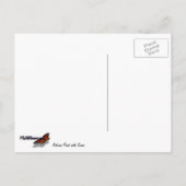 Herbstpfeifen mit Swan Postkarte (Rückseite)