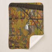 Herbstpfeifen mit Swan Sherpadecke (Vorderseite)