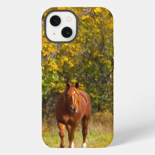 Herbstpferd iPhone Hülle (Rückseite)