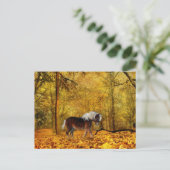 Herbstpferd Postkarte (Stehend Vorderseite)