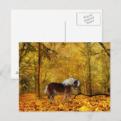 Herbstpferd Postkarte (Vorne/Hinten)