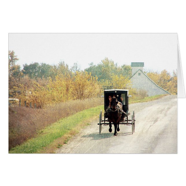Herbstpferd und Buggy (Vorderseite (Horizontal))