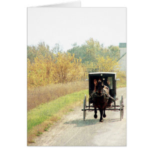 Herbstpferd und Buggy