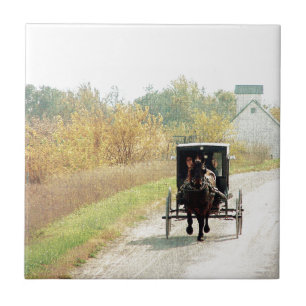 Herbstpferd und Buggy Fliese