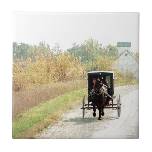 Herbstpferd und Buggy Fliese (Vorderseite)
