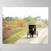 Herbstpferd und Buggy Poster (Vorne)