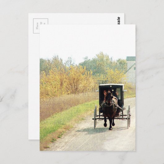Herbstpferd und Buggy Postkarte (Vorne/Hinten)
