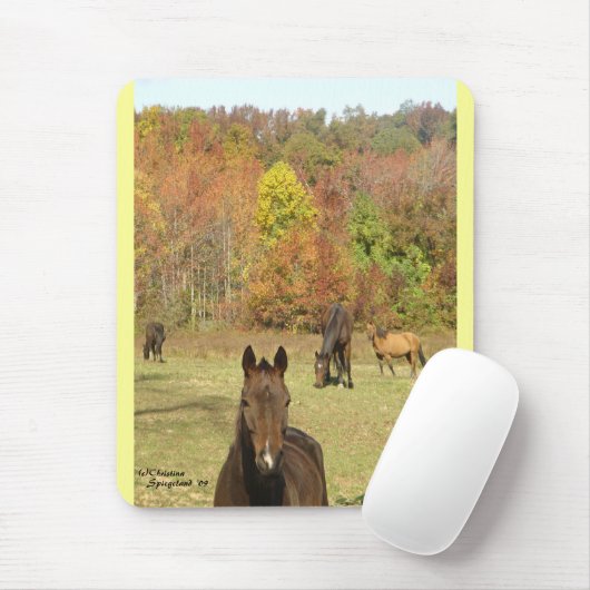 Herbstpferde Mousepad (Mit Mouse)