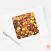 Herbstpflanzen, die Farben des Herbstes Quadratischer Aufkleber (Umschlag)