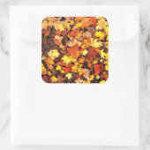 Herbstpflanzen, die Farben des Herbstes Quadratischer Aufkleber (Tasche)