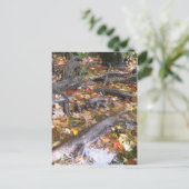 Herbstpilz Postkarte (Stehend Vorderseite)