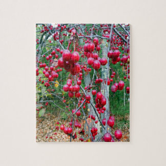 Herbstplaner-Fall-Baum-Rote-Beeren-Herbstfoto Puzzle