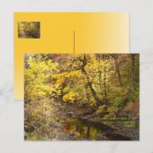 Herbstplendor III Postkarte (Vorne/Hinten)