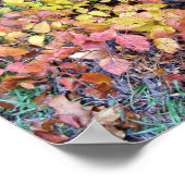 Herbstpoison-Efeu Poster (Ecke)