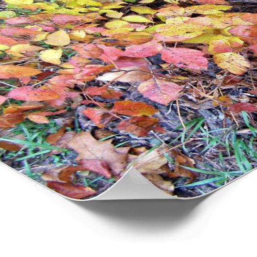 Herbstpoison-Efeu Poster (Ecke)