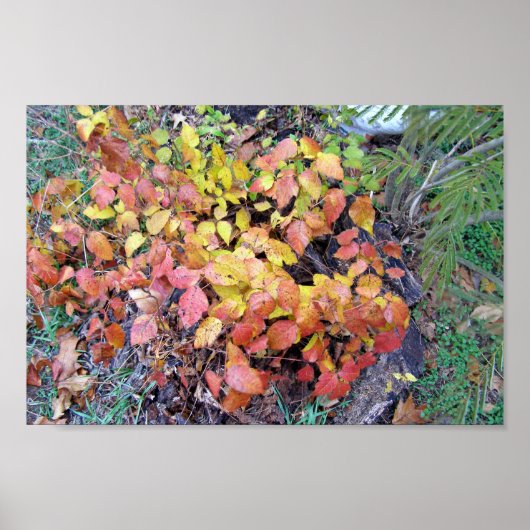 Herbstpoison-Efeu Poster (Vorne)
