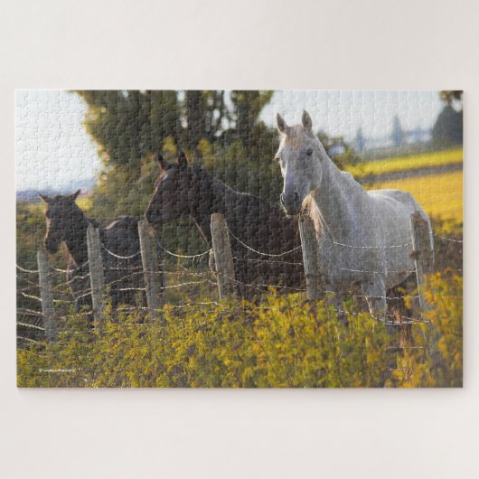 Herbstportrait von drei Pferden Puzzle (Horizontal)