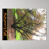 Herbstposter des Baumhellstrahls Poster (Vorne)