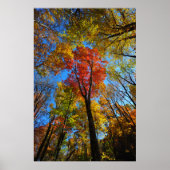 Herbstposter Poster (Vorne)