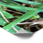 Herbstposter Poster (Ecke)