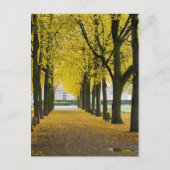 Herbstpostkarte Postkarte (Vorderseite)