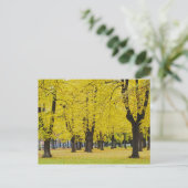 Herbstpostkarte Postkarte (Stehend Vorderseite)