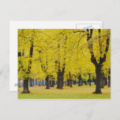 Herbstpostkarte Postkarte (Vorne/Hinten)