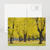 Herbstpostkarte Postkarte (Vorne/Hinten)