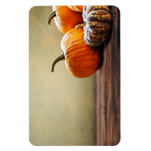 Herbstpumpen. Erntedank und Halloween noch. Magnet
