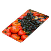 Herbstpumpen Nah Magnet (Linke Seite)