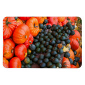Herbstpumpen Nah Magnet (Horizontal)