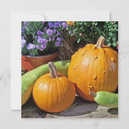 Herbstpumpen und Blume (Vorderseite)