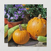 Herbstpumpen und Blume (Vorne/Hinten)