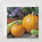 Herbstpumpen und Blume (Rückseite)