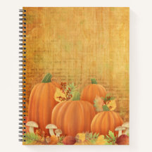 Herbstpumpen und Foliage Illustration