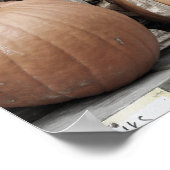 Herbstpumpen und Maisstähle Poster (Ecke)