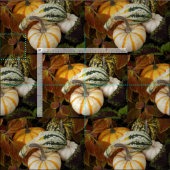 Herbstquash still Life Foto Muster Stoff (Kachel)