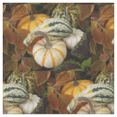 Herbstquash still Life Foto Muster Stoff (Nahaufnahme)