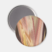 Herbstquelle Magnet (Vorderseite/Rückseite)