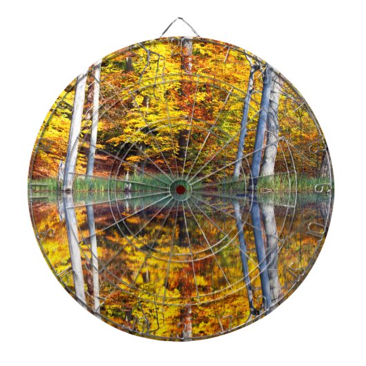 Herbstreflektion Dartscheibe (vorne)