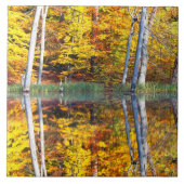 Herbstreflektion Fliese (Vorderseite)